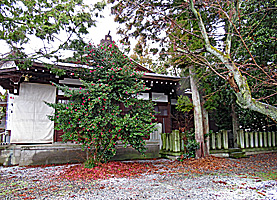 北ノ庄湊八幡神社社殿全景左側面