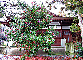 北ノ庄湊八幡神社拝殿左側面