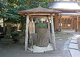 御霊神社（鎌倉権五郎神社）弓立の松