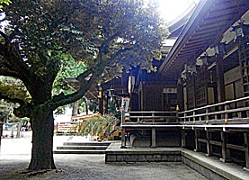 平塚八幡宮拝殿向拝左側面