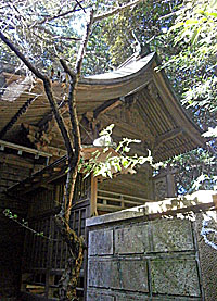 中田御霊神社本殿左側面