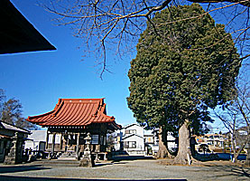 西富岡八幡神社境内