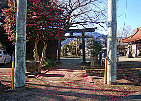 西富岡八幡神社参道