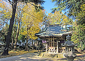 白根神社社殿と黄葉