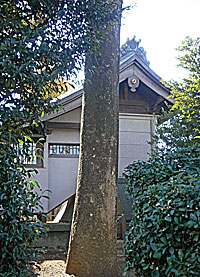 高田熊野神社本殿左側面