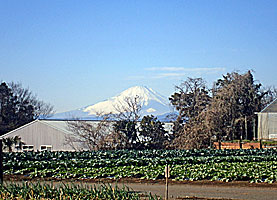 宇都母知神社社頭から富士山を見る
