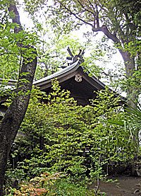 座間神社本殿左側面