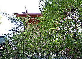 新北神社本殿背面
