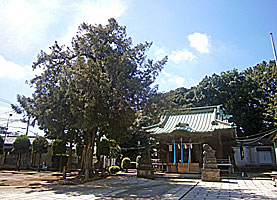 袋諏訪神社拝殿風景
