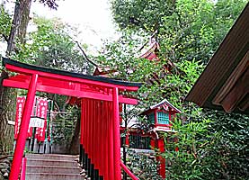 赤坂王子稲荷神社社殿遠景左より