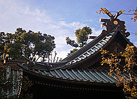 荏原神社拝殿千木