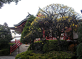 東大島神社拝殿左より