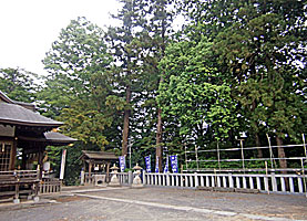 平尾杉山神社境内より参道を望む