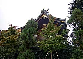 本町田菅原神社本殿左側面