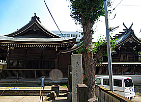 磐井神社社殿全景左側面