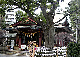 蒲田八幡神社拝殿左より