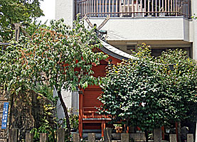 亀塚稲荷神社社殿右側面
