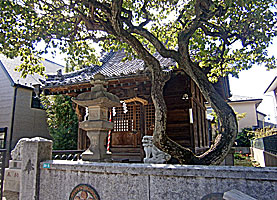 伊予田北野神社拝殿左より