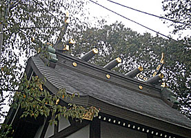 恋ヶ窪熊野神社本殿千木・鰹木