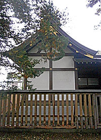 恋ヶ窪熊野神社本殿右側面