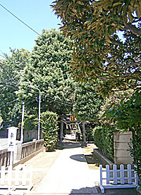 前野東熊野神社参道