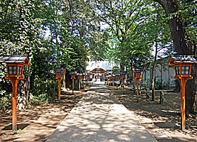 武蔵野神社参道