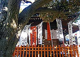 上田妙法稲荷神社社殿右側面
