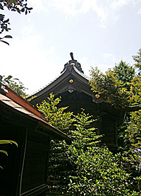 中井御霊神社本殿左側面