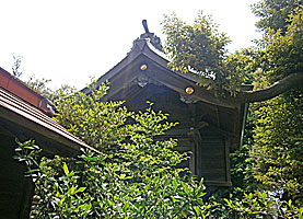 中井御霊神社本殿左側面