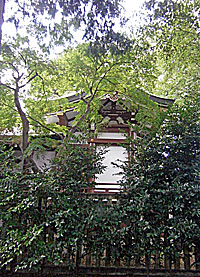 大泉氷川神社本殿左側面