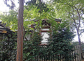 大泉氷川神社本殿左側面