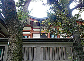 鮫洲八幡神社社殿左側面