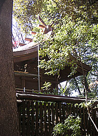 城山熊野神社本殿