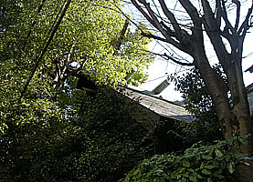 下谷三島神社本殿