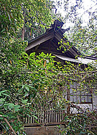 惣岳山青渭神社本殿右側面