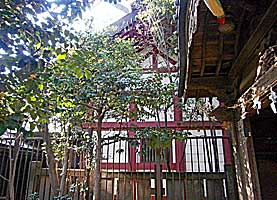 高松八幡神社本殿左側面