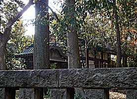高松八幡神社本殿遠景左背面