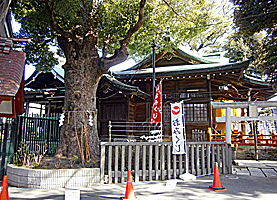 立石熊野神社社殿全景右側面