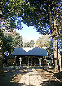 東新町氷川神社拝殿遠景