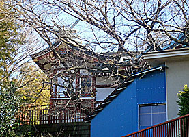 鶴間熊野神社本殿右側面