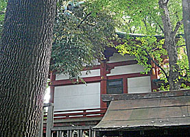 雪ヶ谷八幡神社本殿右側面