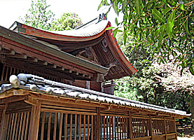 筑紫神社本殿左より