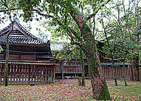 柳川日吉神社社殿全景左側面
