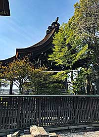 大垣八幡神社本殿左側面