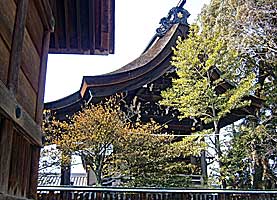 大垣八幡神社本殿左側面