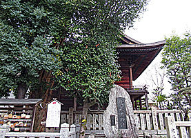 英賀神社本殿左側面