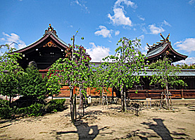 西本町貴布禰神社社殿全景左側面