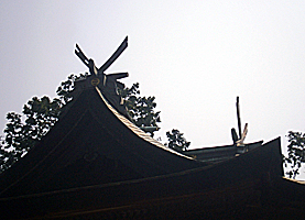 福崎熊野神社本殿千木