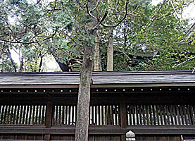 姫路神社本殿右側面
