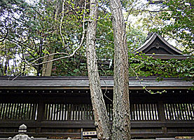 姫路神社社殿全景右側面